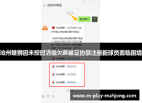 沧州雄狮因未按时清偿欠薪被足协禁注册新球员面临困境